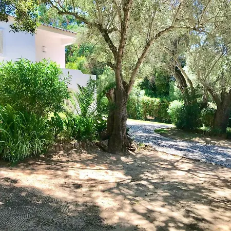 别墅 Buda House By Ethnic Ocean