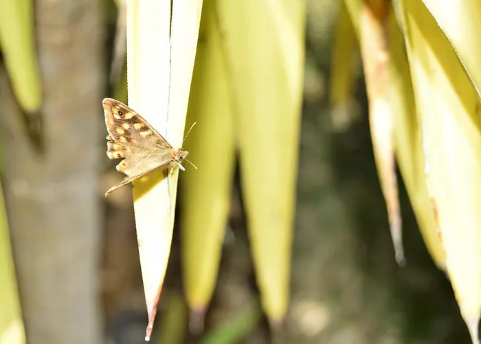 Buda House By Ethnic Ocean ヴィラ